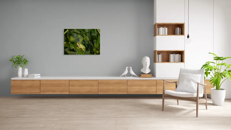Tablou Canvas, "Brotăcel pe frunză la soare", Verde, Broască, Frunze, Natură, Umbre, Mică, Relaxează, Plante, Organic, Furtivo., 100 x 70 cm – poza 6
