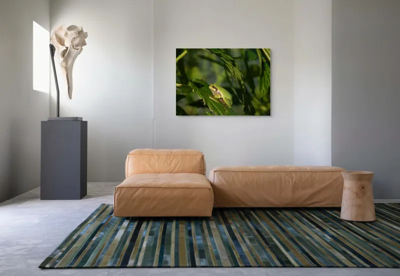 Tablou Canvas, "Brotăcel pe frunză la soare", Verde, Broască, Frunze, Natură, Umbre, Mică, Relaxează, Plante, Organic, Furtivo., 100 x 70 cm – poza 7