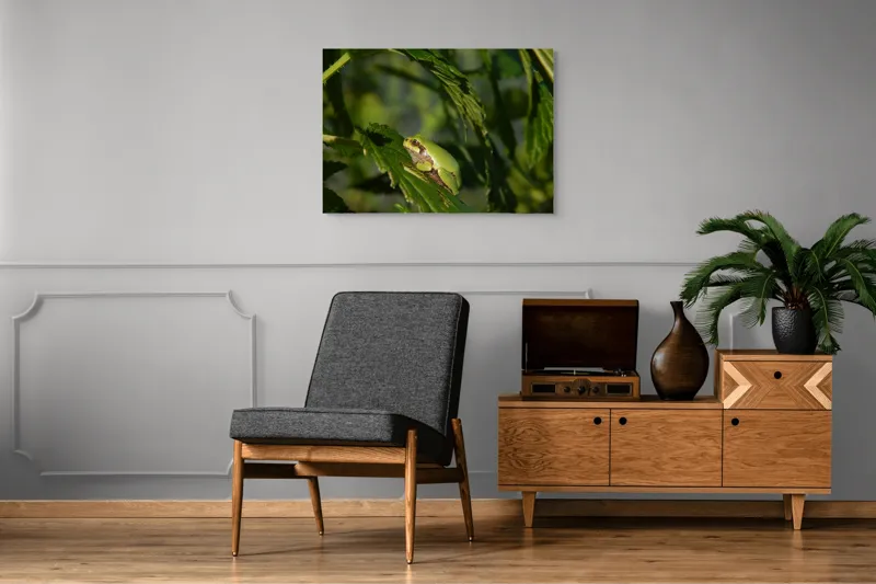 Tablou Canvas, "Brotăcel pe frunză la soare", Verde, Broască, Frunze, Natură, Umbre, Mică, Relaxează, Plante, Organic, Furtivo., 100 x 70 cm – poza 8