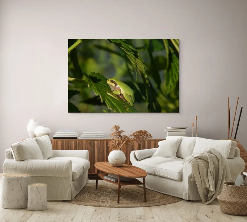 Tablou Canvas, "Brotăcel pe frunză la soare", Verde, Broască, Frunze, Natură, Umbre, Mică, Relaxează, Plante, Organic, Furtivo., 150 x 100 cm – poza 3