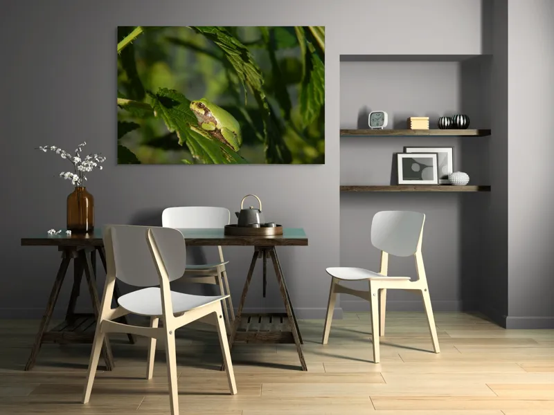 Tablou Canvas, "Brotăcel pe frunză la soare", Verde, Broască, Frunze, Natură, Umbre, Mică, Relaxează, Plante, Organic, Furtivo., 150 x 100 cm – poza 5