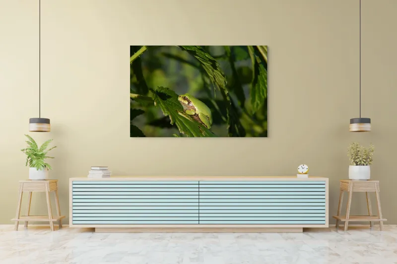 Tablou Canvas, "Brotăcel pe frunză la soare", Verde, Broască, Frunze, Natură, Umbre, Mică, Relaxează, Plante, Organic, Furtivo., 150 x 100 cm – poza 6