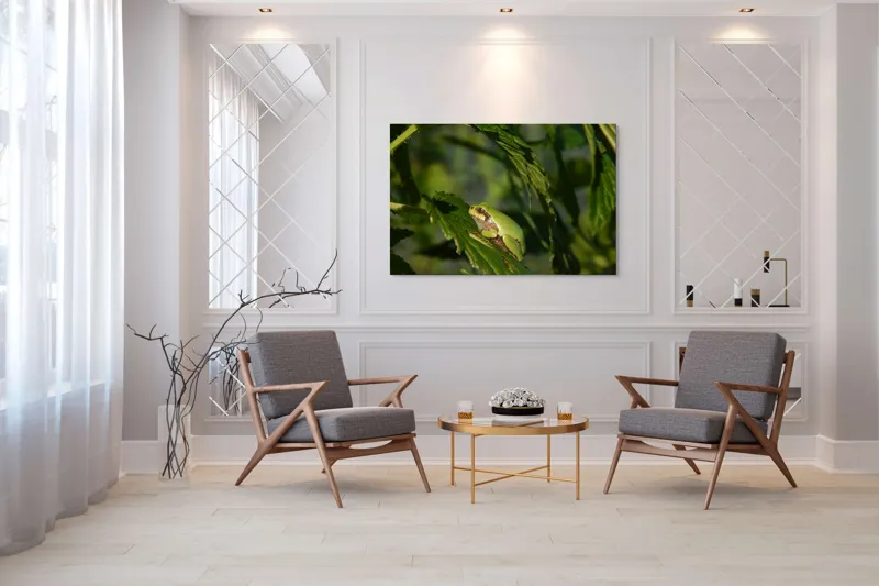 Tablou Canvas, "Brotăcel pe frunză la soare", Verde, Broască, Frunze, Natură, Umbre, Mică, Relaxează, Plante, Organic, Furtivo., 150 x 100 cm – poza 7