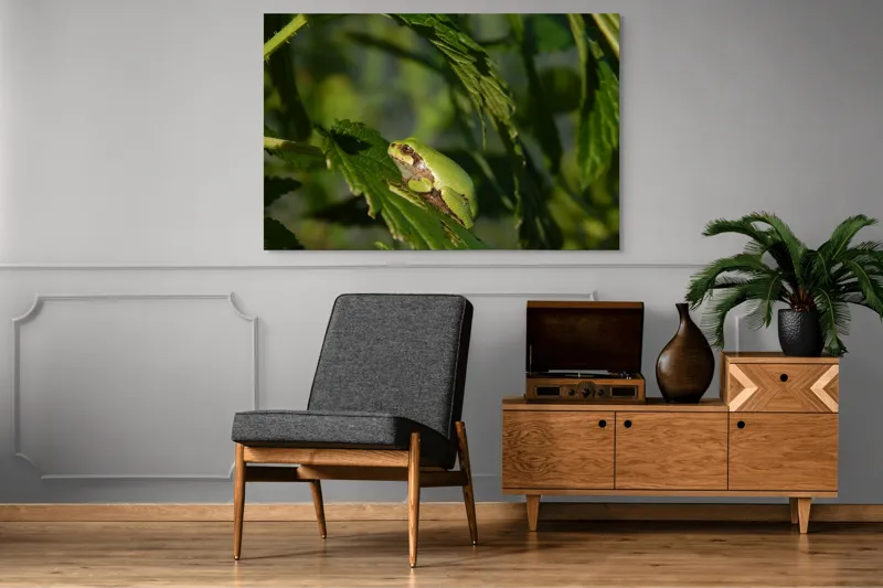 Tablou Canvas, "Brotăcel pe frunză la soare", Verde, Broască, Frunze, Natură, Umbre, Mică, Relaxează, Plante, Organic, Furtivo., 150 x 100 cm – poza 8