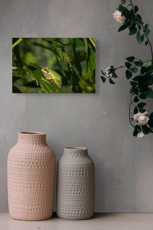 Tablou Canvas, "Brotăcel pe frunză la soare", Verde, Broască, Frunze, Natură, Umbre, Mică, Relaxează, Plante, Organic, Furtivo., 39 x 26 cm – poza 4