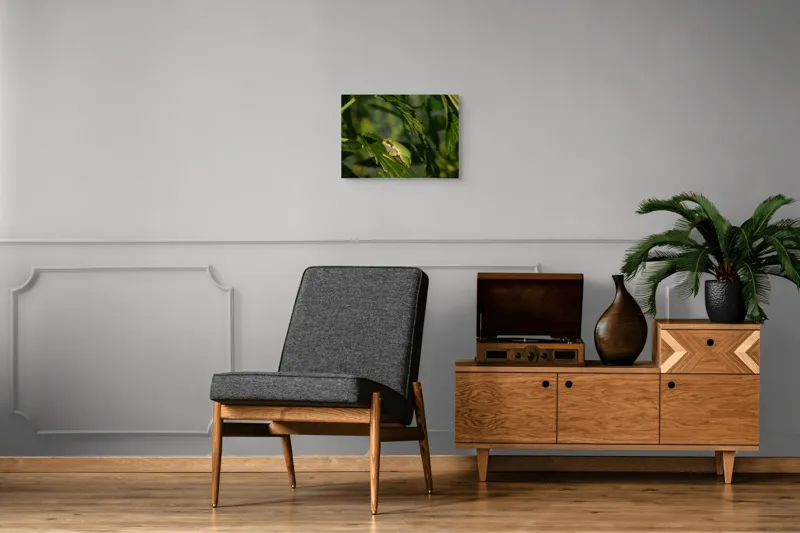 Tablou Canvas, "Brotăcel pe frunză la soare", Verde, Broască, Frunze, Natură, Umbre, Mică, Relaxează, Plante, Organic, Furtivo., 54 x 39 cm – poza 7