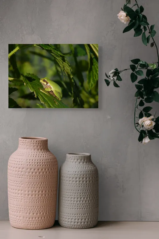Tablou Canvas, "Brotăcel pe frunză la soare", Verde, Broască, Frunze, Natură, Umbre, Mică, Relaxează, Plante, Organic, Furtivo., 54 x 39 cm – poza 8