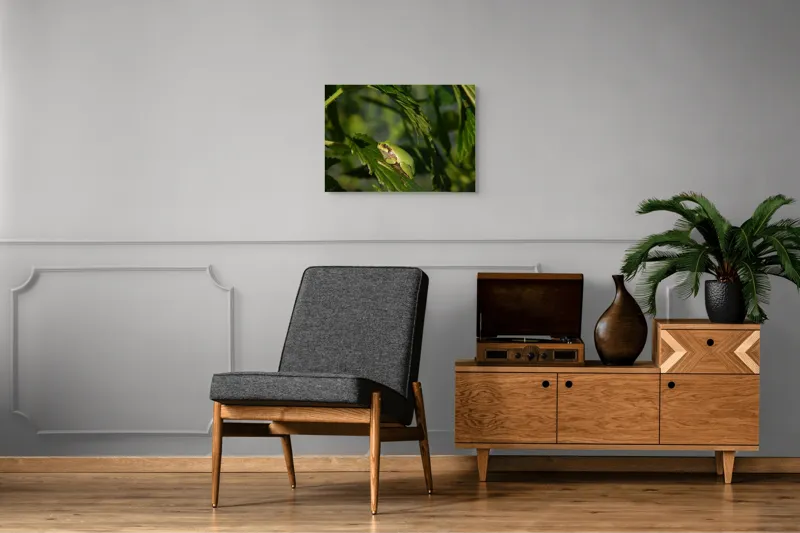 Tablou Canvas, "Brotăcel pe frunză la soare", Verde, Broască, Frunze, Natură, Umbre, Mică, Relaxează, Plante, Organic, Furtivo., 70 x 50 cm – poza 4