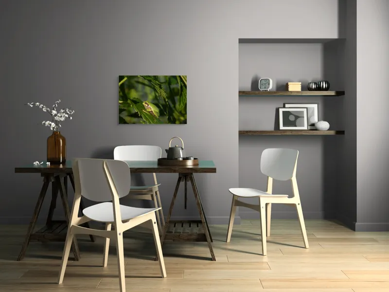 Tablou Canvas, "Brotăcel pe frunză la soare", Verde, Broască, Frunze, Natură, Umbre, Mică, Relaxează, Plante, Organic, Furtivo., 70 x 50 cm – poza 5