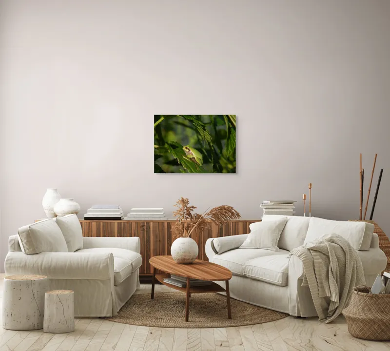Tablou Canvas, "Brotăcel pe frunză la soare", Verde, Broască, Frunze, Natură, Umbre, Mică, Relaxează, Plante, Organic, Furtivo., 70 x 50 cm – poza 6