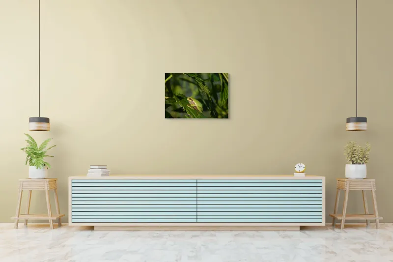 Tablou Canvas, "Brotăcel pe frunză la soare", Verde, Broască, Frunze, Natură, Umbre, Mică, Relaxează, Plante, Organic, Furtivo., 70 x 50 cm – poza 7
