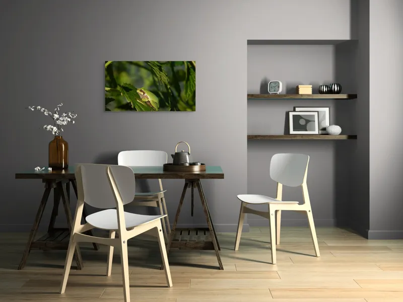 Tablou Canvas, "Brotăcel pe frunză la soare", Verde, Broască, Frunze, Natură, Umbre, Mică, Relaxează, Plante, Organic, Furtivo., 90 x 50 cm – poza 3