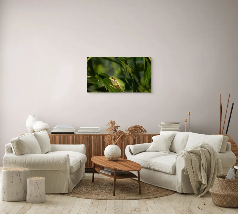 Tablou Canvas, "Brotăcel pe frunză la soare", Verde, Broască, Frunze, Natură, Umbre, Mică, Relaxează, Plante, Organic, Furtivo., 90 x 50 cm – poza 4
