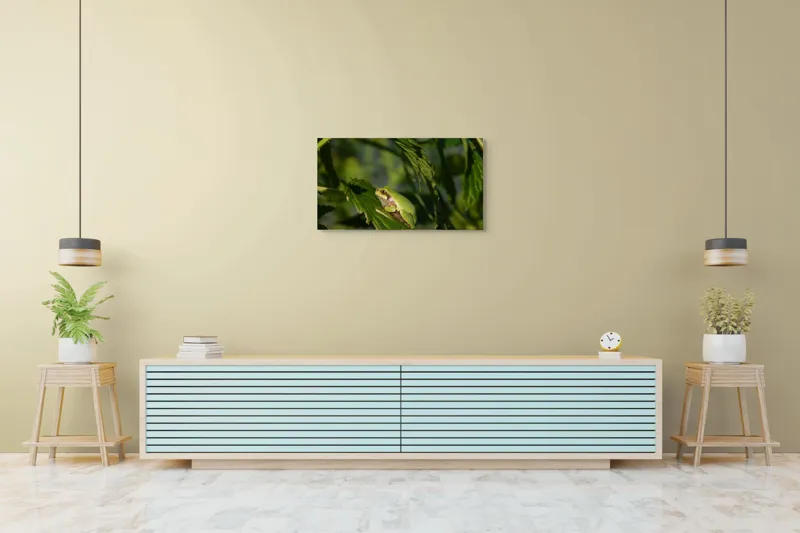 Tablou Canvas, "Brotăcel pe frunză la soare", Verde, Broască, Frunze, Natură, Umbre, Mică, Relaxează, Plante, Organic, Furtivo., 90 x 50 cm – poza 5