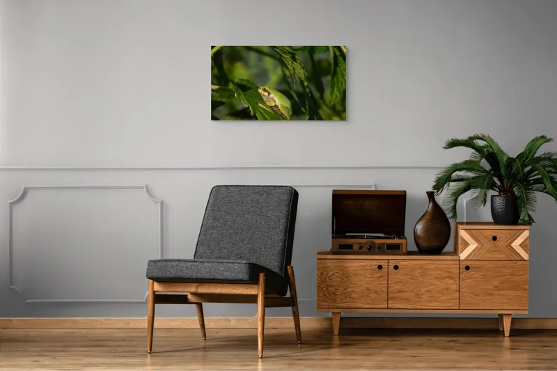 Tablou Canvas, "Brotăcel pe frunză la soare", Verde, Broască, Frunze, Natură, Umbre, Mică, Relaxează, Plante, Organic, Furtivo., 90 x 50 cm – poza 6
