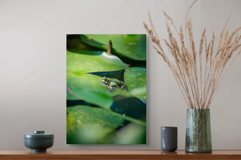 Tablou Canvas, "Brotac odihnindu-se pe frunza de nufăr", Broască, Frunze, Apă, Verde, Lumină, Natură, Calm, Tranquilitate, Reflecție, Ecosistem, 39 x 54 cm – poza 3