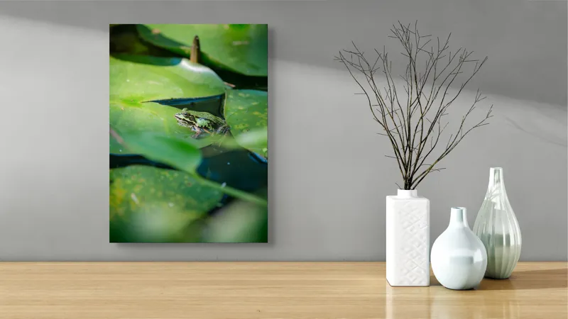 Tablou Canvas, "Brotac odihnindu-se pe frunza de nufăr", Broască, Frunze, Apă, Verde, Lumină, Natură, Calm, Tranquilitate, Reflecție, Ecosistem, 39 x 54 cm – poza 4