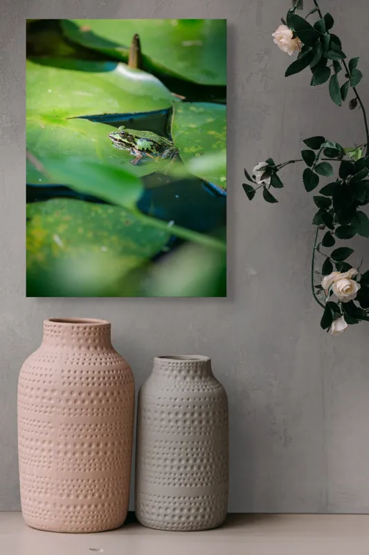 Tablou Canvas, "Brotac odihnindu-se pe frunza de nufăr", Broască, Frunze, Apă, Verde, Lumină, Natură, Calm, Tranquilitate, Reflecție, Ecosistem, 39 x 54 cm – poza 6