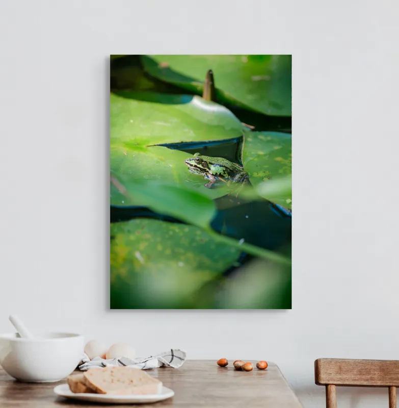 Tablou Canvas, "Brotac odihnindu-se pe frunza de nufăr", Broască, Frunze, Apă, Verde, Lumină, Natură, Calm, Tranquilitate, Reflecție, Ecosistem, 50 x 70 cm – poza 3