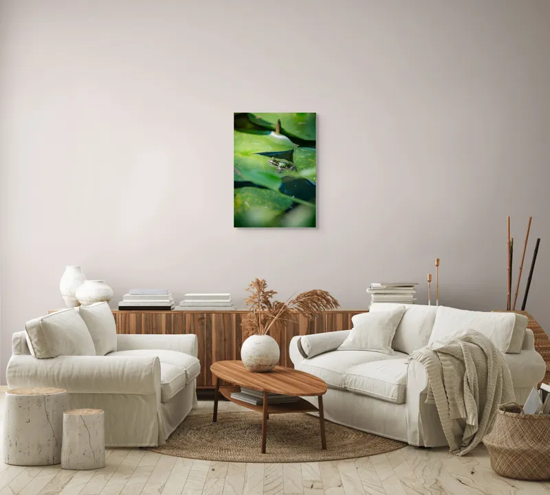 Tablou Canvas, "Brotac odihnindu-se pe frunza de nufăr", Broască, Frunze, Apă, Verde, Lumină, Natură, Calm, Tranquilitate, Reflecție, Ecosistem, 50 x 70 cm – poza 4
