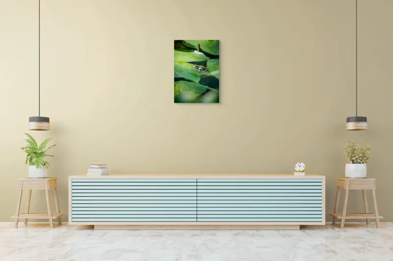 Tablou Canvas, "Brotac odihnindu-se pe frunza de nufăr", Broască, Frunze, Apă, Verde, Lumină, Natură, Calm, Tranquilitate, Reflecție, Ecosistem, 50 x 70 cm – poza 6