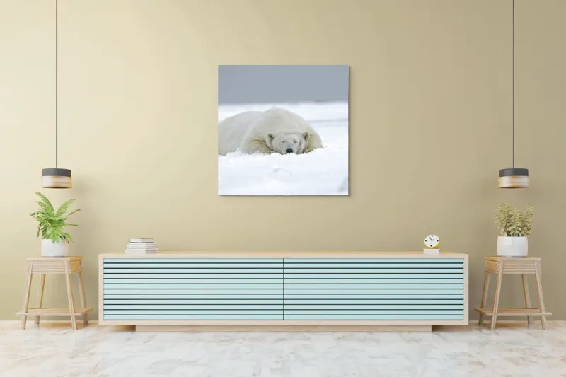 Tablou Canvas, "Urs polar odihnindu-se în zăpadă", Urs, Polar, Zăpadă, Odihnă, Liniște, Frig, Alb, Serenitate, Natură., 100 x 100 cm – poza 5