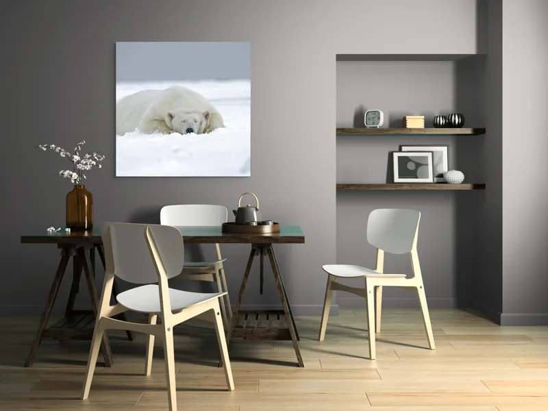 Tablou Canvas, "Urs polar odihnindu-se în zăpadă", Urs, Polar, Zăpadă, Odihnă, Liniște, Frig, Alb, Serenitate, Natură., 100 x 100 cm – poza 6