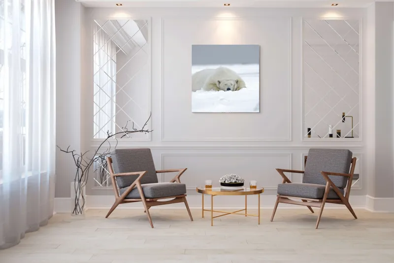 Tablou Canvas, "Urs polar odihnindu-se în zăpadă", Urs, Polar, Zăpadă, Odihnă, Liniște, Frig, Alb, Serenitate, Natură., 100 x 100 cm – poza 7