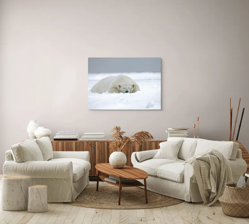 Tablou Canvas, "Urs polar odihnindu-se în zăpadă", Urs, Polar, Zăpadă, Odihnă, Liniște, Frig, Alb, Serenitate, Natură., 100 x 70 cm – poza 3
