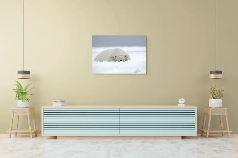 Tablou Canvas, "Urs polar odihnindu-se în zăpadă", Urs, Polar, Zăpadă, Odihnă, Liniște, Frig, Alb, Serenitate, Natură., 100 x 70 cm – poza 4
