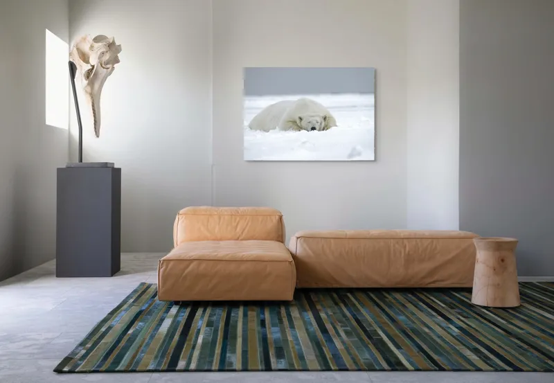 Tablou Canvas, "Urs polar odihnindu-se în zăpadă", Urs, Polar, Zăpadă, Odihnă, Liniște, Frig, Alb, Serenitate, Natură., 100 x 70 cm – poza 7