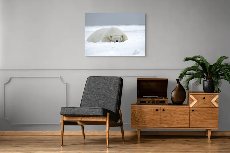 Tablou Canvas, "Urs polar odihnindu-se în zăpadă", Urs, Polar, Zăpadă, Odihnă, Liniște, Frig, Alb, Serenitate, Natură., 100 x 70 cm – poza 8
