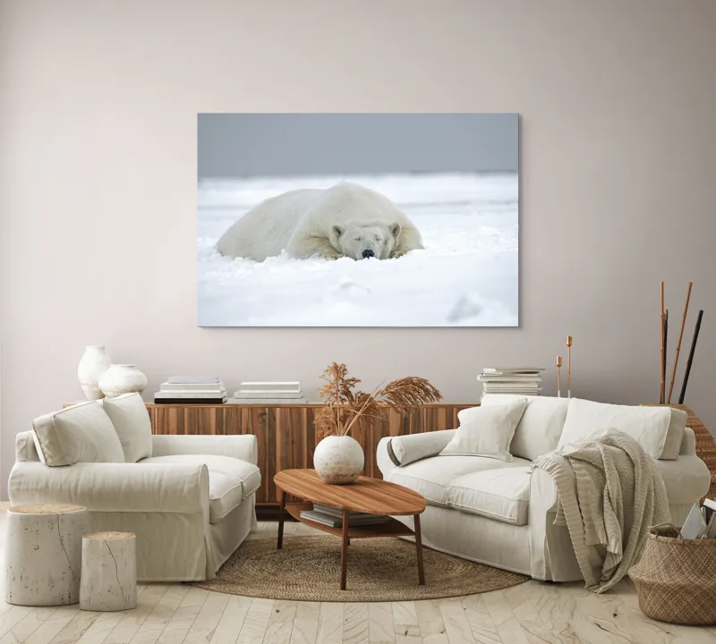 Tablou Canvas, "Urs polar odihnindu-se în zăpadă", Urs, Polar, Zăpadă, Odihnă, Liniște, Frig, Alb, Serenitate, Natură., 150 x 100 cm – poza 3