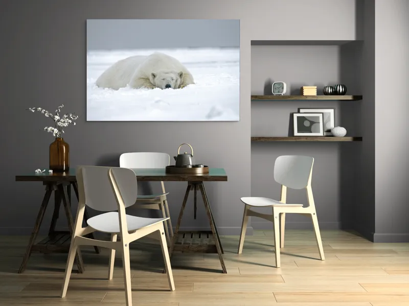Tablou Canvas, "Urs polar odihnindu-se în zăpadă", Urs, Polar, Zăpadă, Odihnă, Liniște, Frig, Alb, Serenitate, Natură., 150 x 100 cm – poza 5