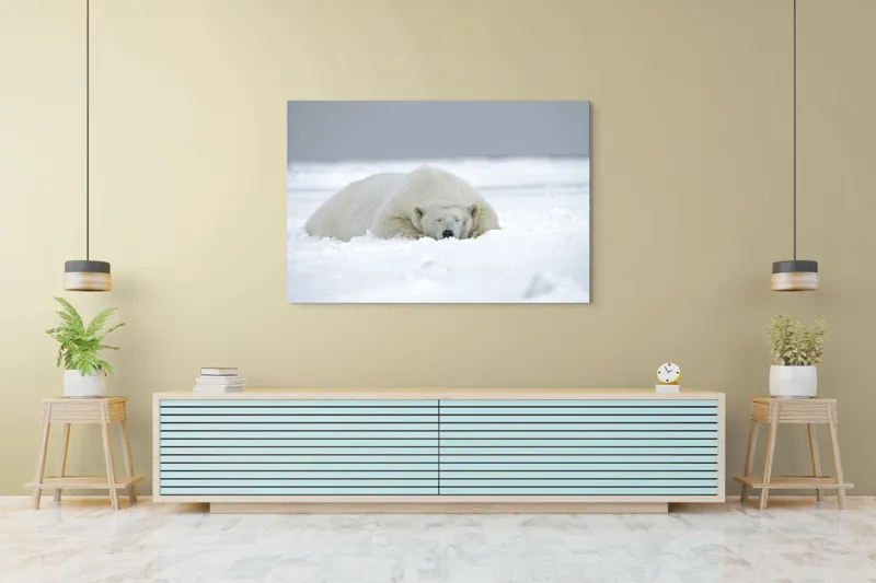 Tablou Canvas, "Urs polar odihnindu-se în zăpadă", Urs, Polar, Zăpadă, Odihnă, Liniște, Frig, Alb, Serenitate, Natură., 150 x 100 cm – poza 6