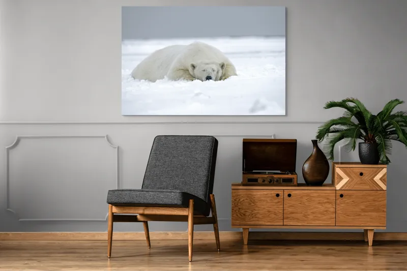Tablou Canvas, "Urs polar odihnindu-se în zăpadă", Urs, Polar, Zăpadă, Odihnă, Liniște, Frig, Alb, Serenitate, Natură., 150 x 100 cm – poza 8