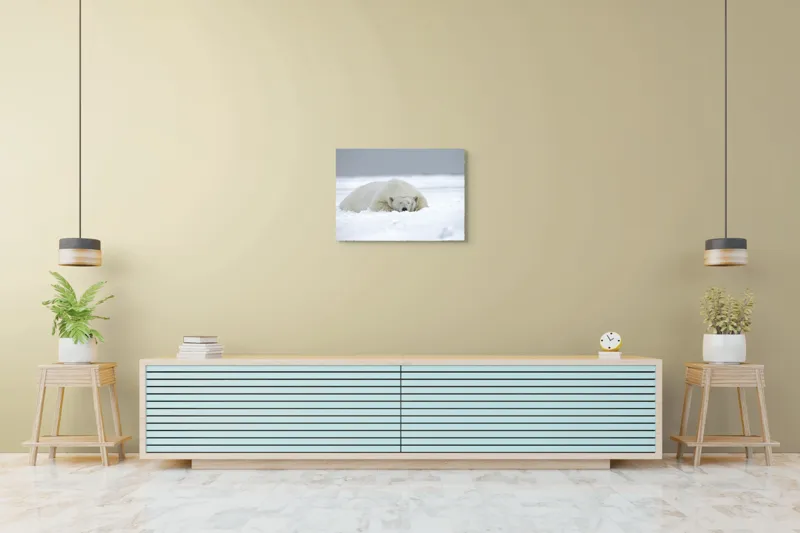 Tablou Canvas, "Urs polar odihnindu-se în zăpadă", Urs, Polar, Zăpadă, Odihnă, Liniște, Frig, Alb, Serenitate, Natură., 70 x 50 cm – poza 7