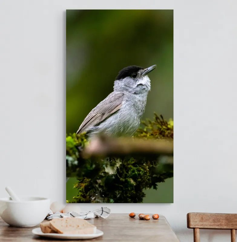 Tablou Canvas, "Pasărea cântătoare pe ramura de mușchi.", Pasăre, Creangă, Verdeață, Pană, Natură, 50 x 90 cm – poza 3