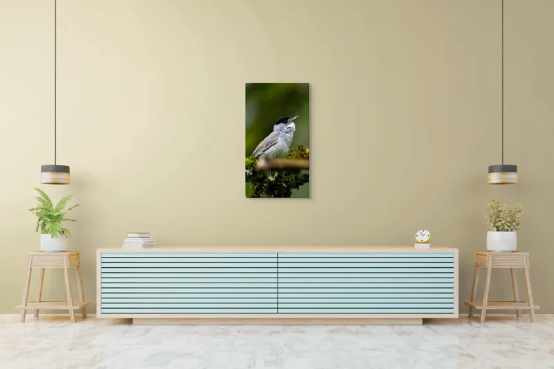 Tablou Canvas, "Pasărea cântătoare pe ramura de mușchi.", Pasăre, Creangă, Verdeață, Pană, Natură, 50 x 90 cm – poza 6