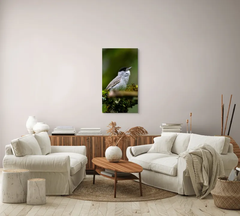 Tablou Canvas, "Pasărea cântătoare pe ramura de mușchi.", Pasăre, Creangă, Verdeață, Pană, Natură, 50 x 90 cm – poza 7