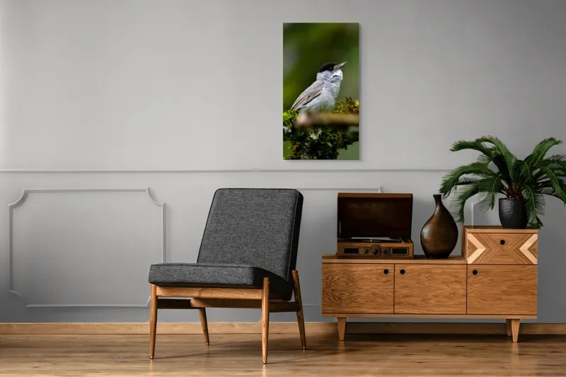 Tablou Canvas, "Pasărea cântătoare pe ramura de mușchi.", Pasăre, Creangă, Verdeață, Pană, Natură, 50 x 90 cm – poza 8