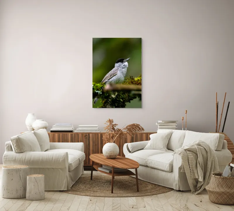 Tablou Canvas, "Pasărea cântătoare pe ramura de mușchi.", Pasăre, Creangă, Verdeață, Pană, Natură, 70 x 100 cm – poza 4