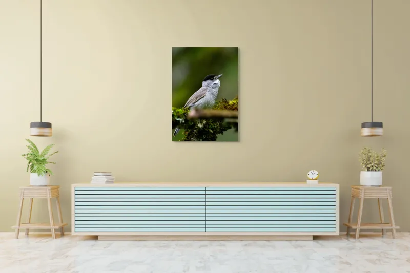 Tablou Canvas, "Pasărea cântătoare pe ramura de mușchi.", Pasăre, Creangă, Verdeață, Pană, Natură, 70 x 100 cm – poza 5