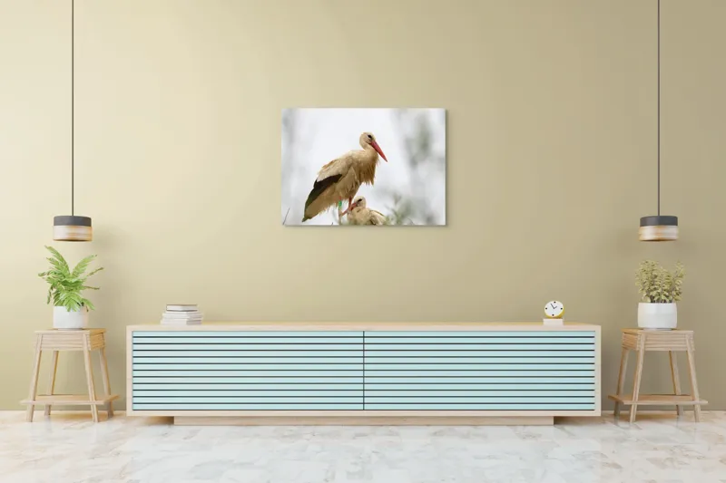 Tablou Canvas, "Berze în cuib primăvara devreme", Barză, Cuib, Cer, Pene, Aripi, Pui, Natură, 100 x 70 cm – poza 4