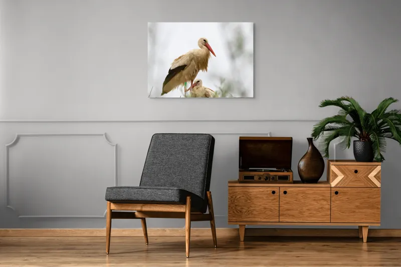 Tablou Canvas, "Berze în cuib primăvara devreme", Barză, Cuib, Cer, Pene, Aripi, Pui, Natură, 100 x 70 cm – poza 8
