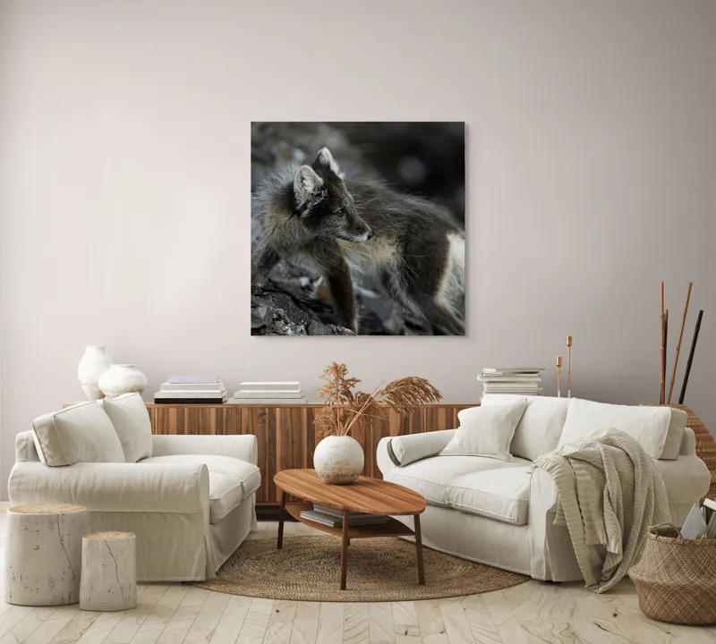 Tablou Canvas, "Vulpe polară în habitat natural", Blană, Aspră, Urechi, Pământiu, Privește, Cenușiu, Arctic, Contrast, Stânci, 100 x 100 cm – poza 3