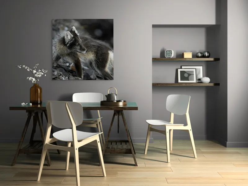 Tablou Canvas, "Vulpe polară în habitat natural", Blană, Aspră, Urechi, Pământiu, Privește, Cenușiu, Arctic, Contrast, Stânci, 100 x 100 cm – poza 6