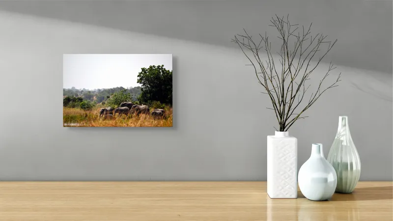 Tablou Canvas, "Elefanții traversând savana africană.", Elefanți, Savana, Vegetație, Tufișuri, Cer, Copaci, Aventură, Natură, 39 x 26 cm – poza 8