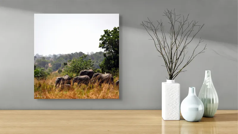 Tablou Canvas, "Elefanții traversând savana africană.", Elefanți, Savana, Vegetație, Tufișuri, Cer, Copaci, Aventură, Natură, 50 x 50 cm – poza 3