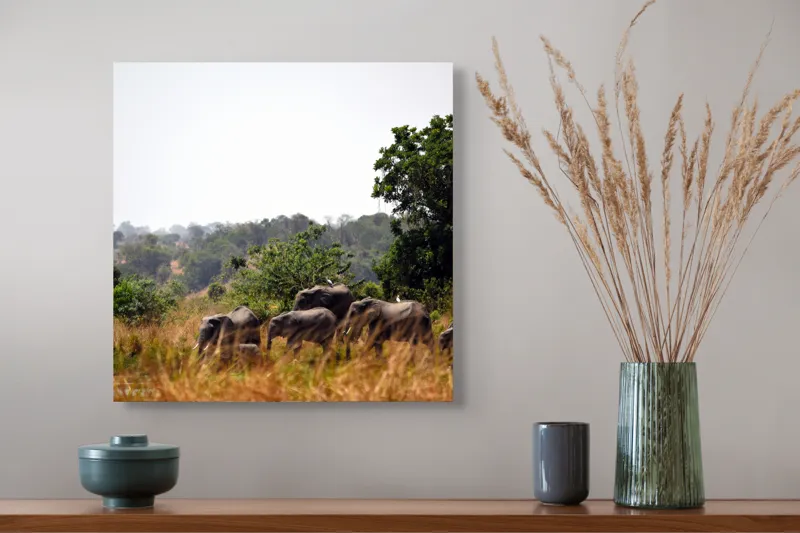 Tablou Canvas, "Elefanții traversând savana africană.", Elefanți, Savana, Vegetație, Tufișuri, Cer, Copaci, Aventură, Natură, 50 x 50 cm – poza 4